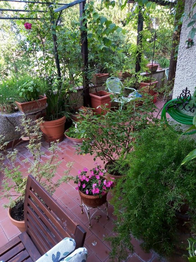 B&B La Gallinella Rossa 柏芝 外观 照片